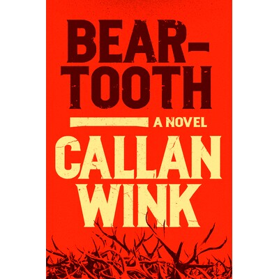 预订 Beartooth 熊牙: 9781954118027