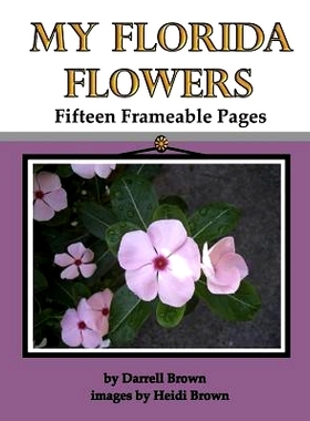 预订 My Florida Flowers Fifteen Frameable Pages: 9781082497841