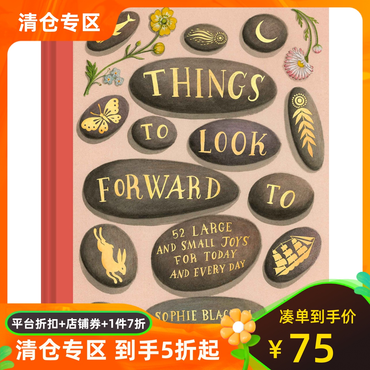 预订 值得期待的事 Sophie Blackall 凯迪克奖插画家 精装礼品绘本 英文原版 Things to Look Forward To