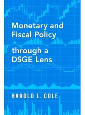 现货 Monetary and Fiscal Policy through a DSGE Lens 基于DSGE模型的币与财政政策: 9780190076047