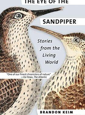[预订]The Eye of the Sandpiper 9781501707728