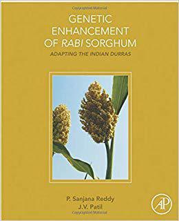 【预售】Genetic Enhancement of Rabi Sorghum