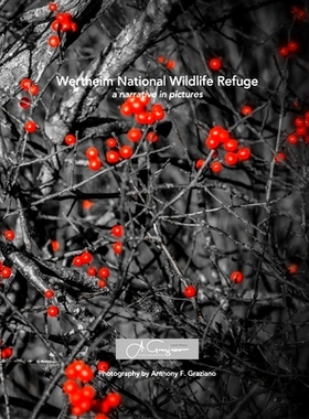 预订 Wertheim National Wildlife Refuge: a narrative in pictures 沃特海姆国家野生动物保护区: 9781714613045