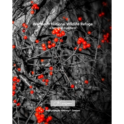 预订 Wertheim National Wildlife Refuge: a narrative in pictures 沃特海姆国家野生动物保护区: 9781714613045