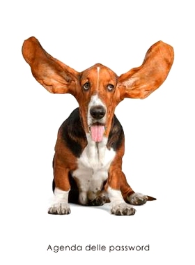预订 Agenda delle password: Agenda degli indirizzi web e delle password di accesso - Copertina Basset Hound: 97815427965