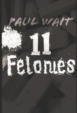 【预订】11 Felonies