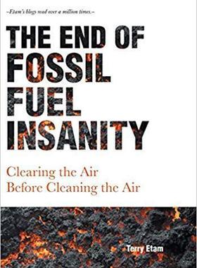 [预订]The End of Fossil Fuel Insanity: Clearing the Air Before Cleaning the Air 9781525540240