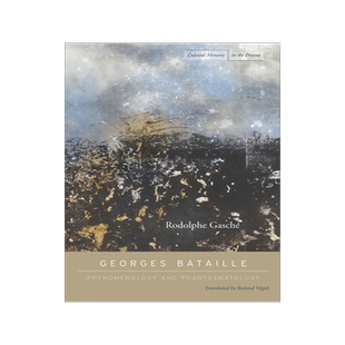 预订 Phenomenology & Phantasmatology