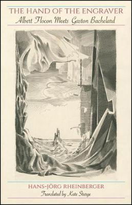 国外库房发货，通常付款后5-8周到货！