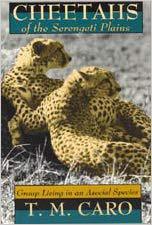 【预订】Cheetahs of the Serengeti Plains 9780226094335