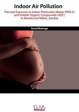 [预订]Indoor Air Pollution: Prenatal Exposure to Indoor Particulate Matter (PM2.5) and Volatile Organic Co 9781952751929