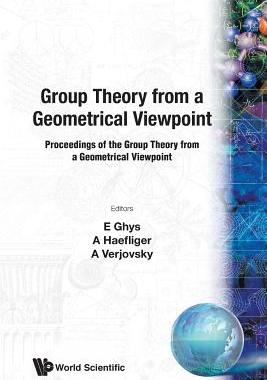【预订】Group Theory from a Geometrical Viewpoint