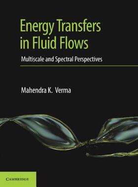 【预订】Energy Transfers in Fluid Flows