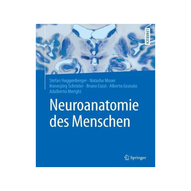 预订 Neuroanatomie des Menschen - 白底图