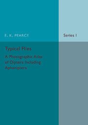 【预订】Typical Flies