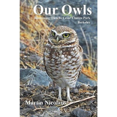 预订 Our Owls: Burrowing Owls in Cesar Chavez Park, Berkeley 9798994830413