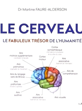 预订 Le cerveau : le fabuleux trésor de l’humanité 大脑：人类的神奇宝藏: 9782813218155