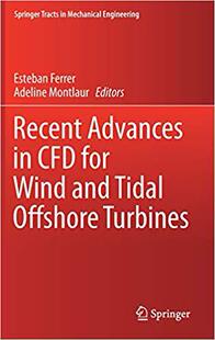 【预售】Recent Advances in CFD for Wind and Tidal Offshore Turbines