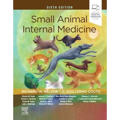 预订 Small Animal Internal Medicine 小动物内科 第6版 9780323570145