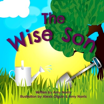 预订 The Wise Son: 9780692749456