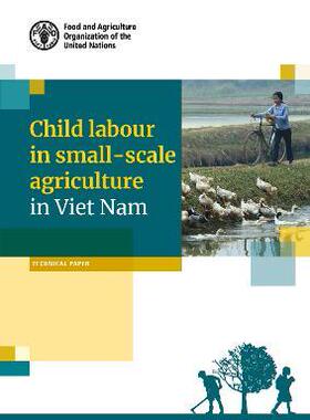 预订 Child Labour in Small-Scale Agriculture in Viet Nam
