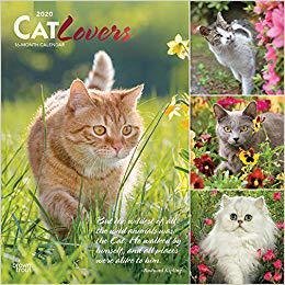 【预售】Cat Lovers 2020 Square Foil