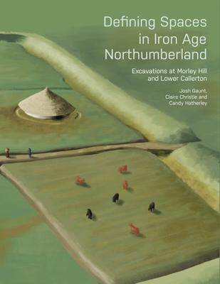 [预订]Defining Spaces in Iron Age Northumberland 9781789258561