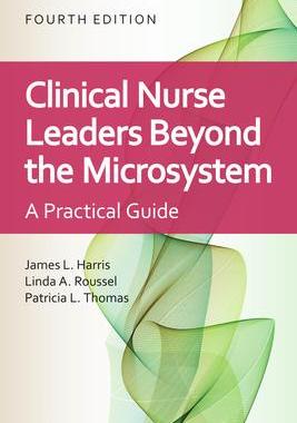 [预订]Clinical Nurse Leaders Beyond the Microsystem 9781284227277