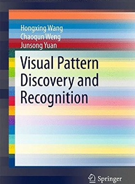 【预订】Visual Pattern Discovery and Recogni...