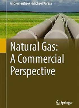 【预订】Natural Gas: A Commercial Perspectiv...