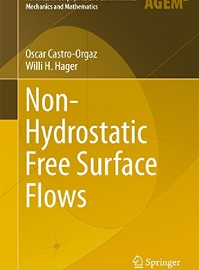 【预订】Non-Hydrostatic Free Surface Flows