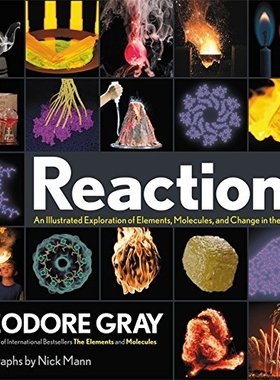 【预订】Reactions: An Illustrated Exploratio...