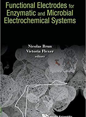【预售】FUNCTIONAL ELECTRODES FOR ENZYMATIC ...