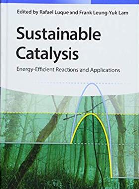 【预售】Sustainable Catalysis - Energy-Effic...