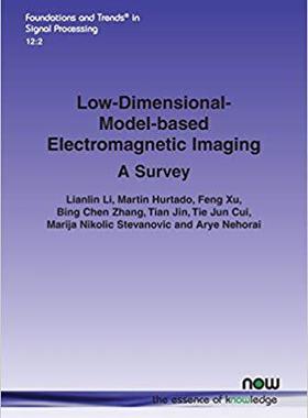 【预售】Low-Dimensional-Model-Based Electrom...