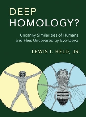 【预订】Deep Homology?