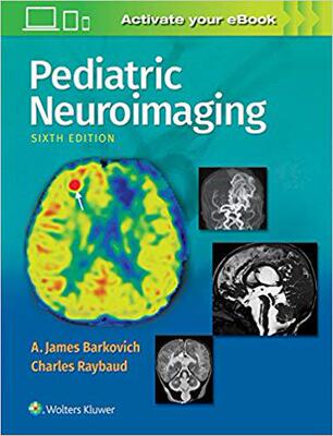 【预售】Pediatric Neuroimaging