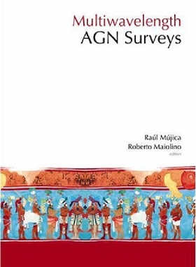 【预订】Multiwavelength Agn Surveys - Procee...