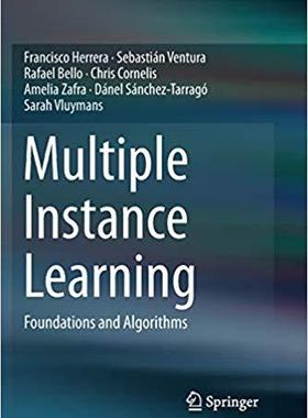 【预售】Multiple Instance Learning: Foundati...