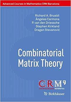 【预售】Combinatorial Matrix Theory