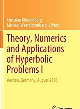 【预售】Theory, Numerics and Applications of...