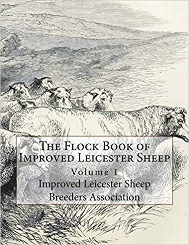 美国库房发货,通常付款后5-8周到货!