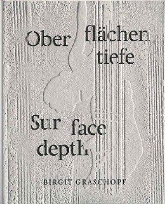 【预订】Birgit Graschopf: Sur Face Depth