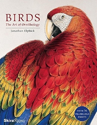 【预订】Birds: The Art of Ornithology