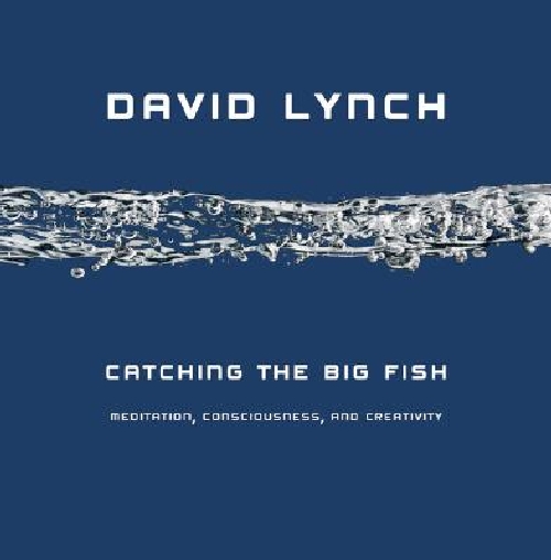 【预订】Catching the Big Fish: Meditation, C...