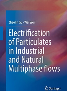 【预订】Electrification of Particulates in I...
