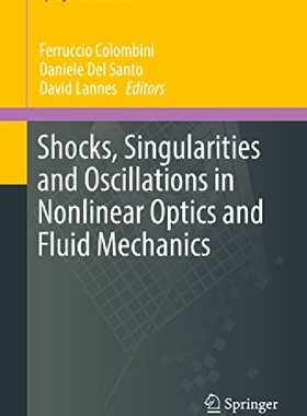 【预订】Shocks, Singularities and Oscillatio...
