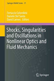 【预订】Shocks, Singularities and Oscillatio...