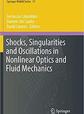 【预售】Shocks, Singularities and Oscillatio...