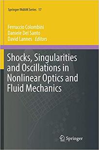 【预售】Shocks, Singularities and Oscillatio...